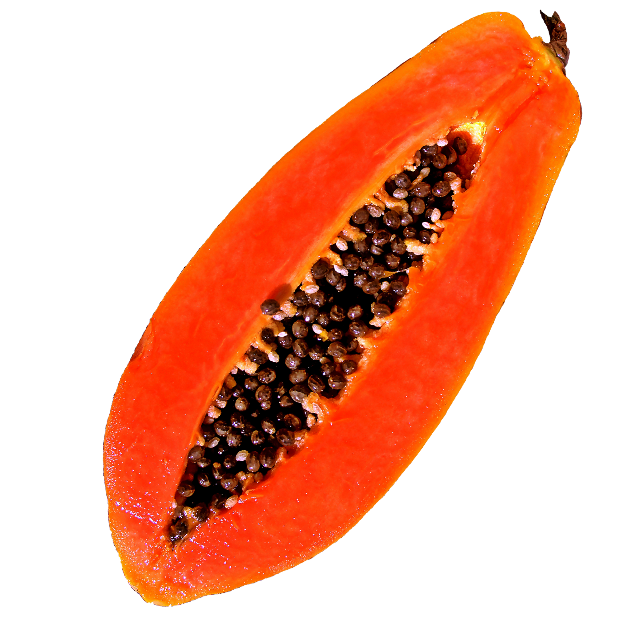 Papaya Sticker